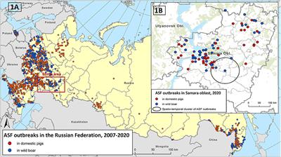 Risk Factors of African Swine Fever in Domestic Pigs of the Samara Region, Russian Federation